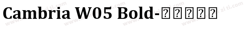 Cambria W05 Bold字体转换